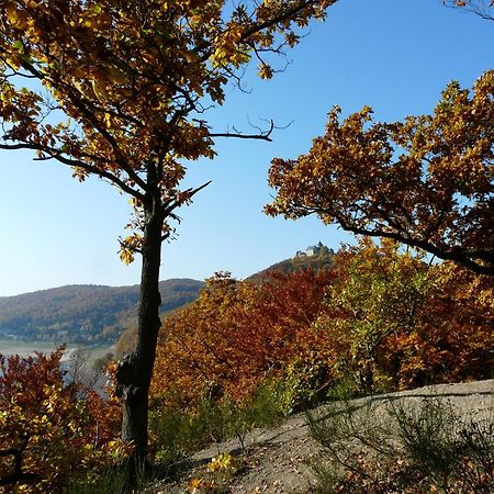 Belvedere - Das Bio Hotel Garni & Suitehotel Am Edersee ! Unser Geschenk Fuer Sie, Auch Die Gaestecard Grimmheimat! Вальдек Экстерьер фото
